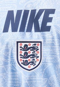 Το λογότυπο της Nike πάνω από ένα θυρεό με τρεις γαλάζιους λέοντες και κόκκινα τριαντάφυλλα σε φωτεινό γαλάζιο υφασμένο φόντο.