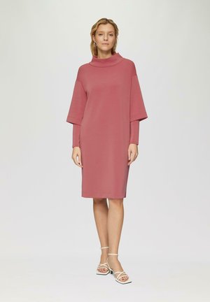 Stofroze pullover jurk met een hoge hals, brede mouwen en een knie-lange zoom. Gekenmerkt door een zachte, gladde stof en minimale stiksels.