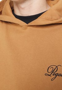 Sweat à capuche marron avec une texture douce, présentant un logo brodé noir. Le col a un intérieur noir contrastant.