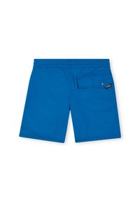 Shorts da bagno blu realizzati in tessuto liscio, con vita elasticizzata, tasca posteriore con chiusura a scatto e un'etichetta del marchio sulla tasca.
