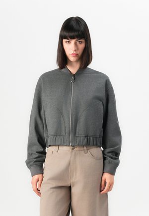 Gray cropped bomber jacket with a smooth texture, zip closure, and ribbed cuffs. Features rounded seam accents on the front.
