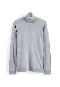 Pull à col roulé gris avec manches longues, texture douce et col côtelé. Présente une couture centrale sur le devant.