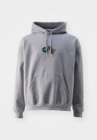 BDG Urban Outfitters Luvtröja - grey