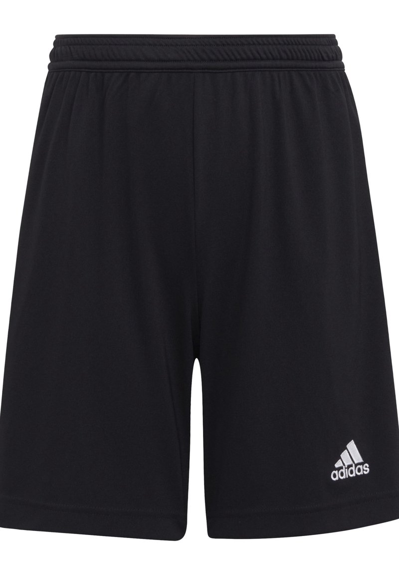 adidas Performance ENTRADA - Träningsshorts - black