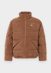 VAIL PUFFER - Chaqueta de invierno - pecan nut