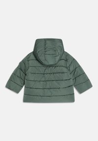 Groene pufferjack met capuchon, met horizontaal gestikte panelen en een gladde, glanzende textuur. Korte, lange mouwen. Achteraanzicht.