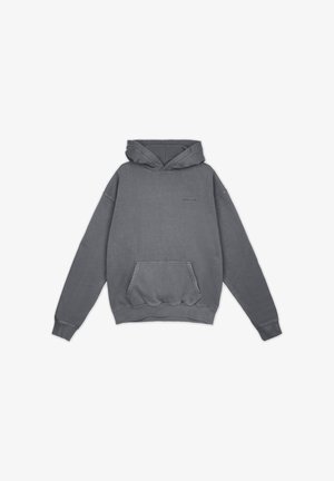 Pegador, LOGO OVERSIZED HOODIE - Hoodie - vintage grey/grey