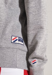 Superdry & Co Felpa - grey