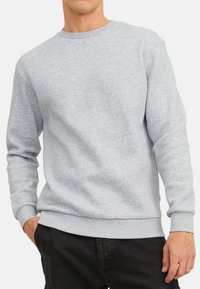 Grijze sweatshirt van een katoenmix, met een ronde hals, ribbelmanchetten en zoom, met een zachte textuur en een casual pasvorm.