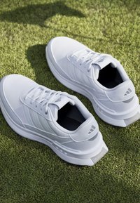 Thumbnail Image 12