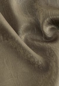 Olivově zelená, průhledná tkanina s hladkým, mírně lesklým povrchem. Měkký pád se viditelnými vráskami a jemnými variacemi v tónu.