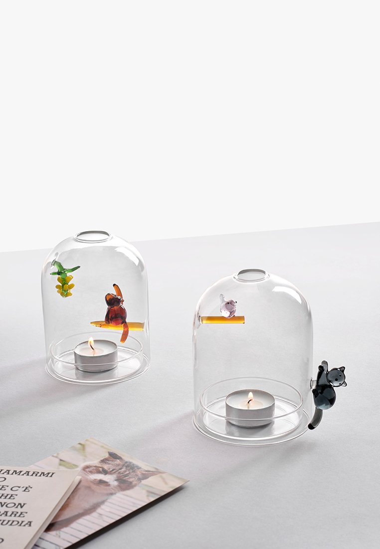 Twee glazen cloches met kleurrijke dierenfiguren op houten accenten. Elke cloche bevat een theelichtje. Glad, transparant afgewerkt.