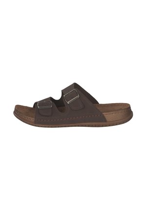 Pool slides - braun