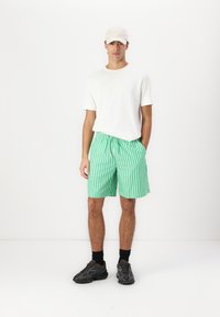 Green and white striped swim shorts with an elastic waistband and drawstring, paired with a white t-shirt and gray sneakers.