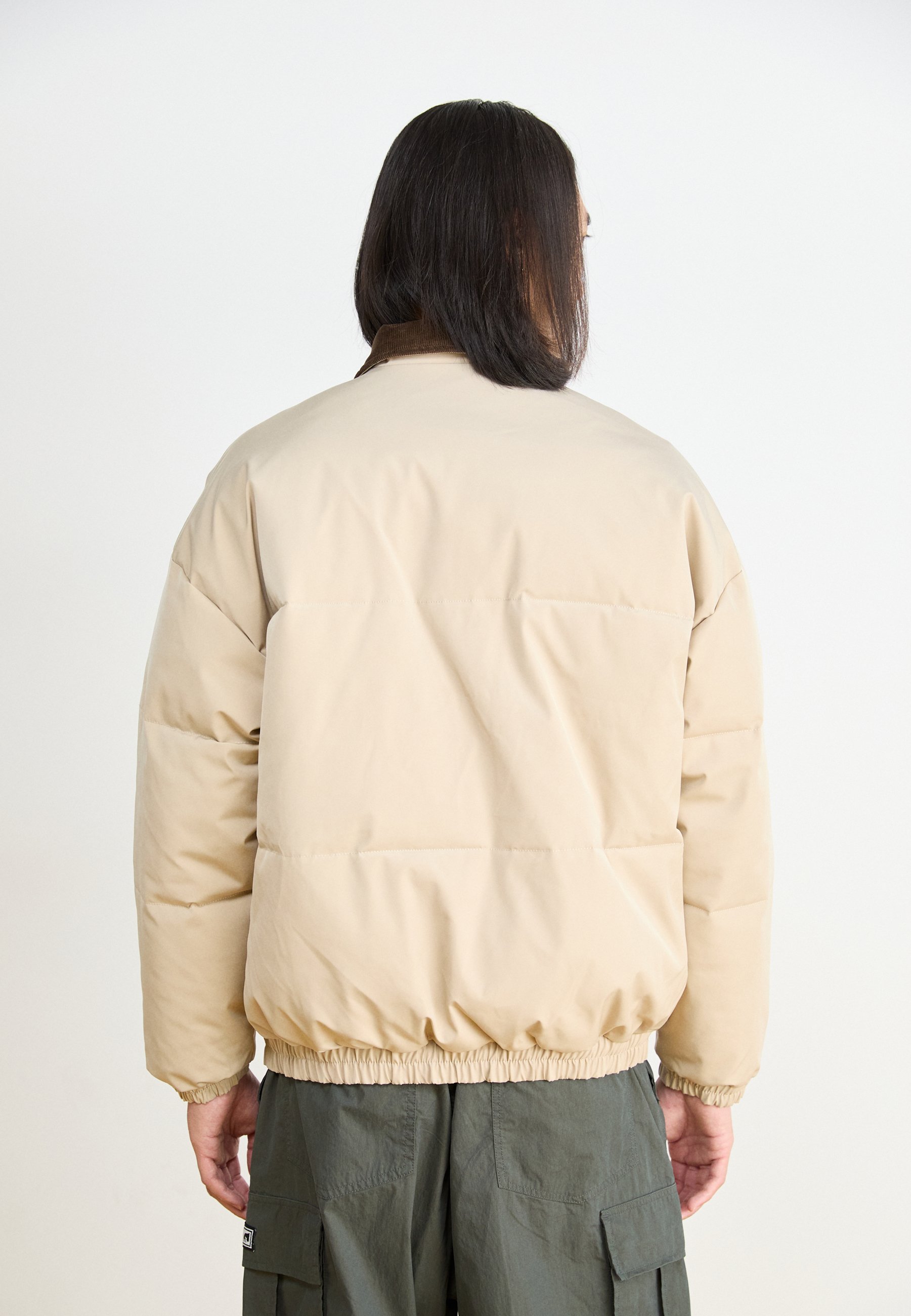 Obey Clothing WHISPERS JACKET - Winter jacket - feather gray/beige