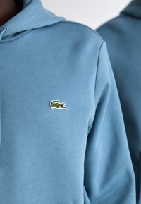 Jasnoniebieska bluza z gładkiej tkaniny. Na piersi znajduje się małe zielono-czerwone logo krokodyla. Projekt uzupełnia kaptur ze sznurkiem.