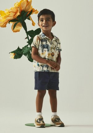 Niño con una camiseta de manga corta con estampado de animales y pantalones cortos azul marino, de pie sobre una base verde. Zapatillas beige con detalles oscuros. Gran flor amarilla detrás.