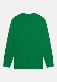 Green sweatshirt made from soft, textured fabric. Features a crew neckline, long sleeves, and ribbed cuffs and hem. Back view.