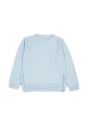 Maglione azzurro chiaro in morbido tessuto a maglia, con scollatura a girocollo, polsini e fondo a costine, fessure laterali e un delicato dettaglio ricamato.