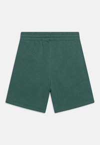 Zelené bavlněné šortky s elastickým pasem, délka do poloviny stehna a hladký povrch. Jednoduchý design bez dalších vzorů nebo akcentů.