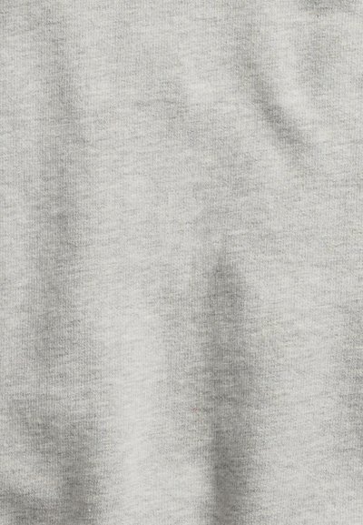 Polo Ralph Lauren THE RL FLEECE SWEATSHIRT - Sweatshirt - andover heather