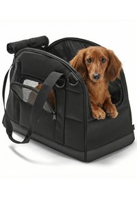 Piccolo cane marrone che riposa all'interno di un trasportino morbido nero per animali con ventilazione a rete e tracolla.