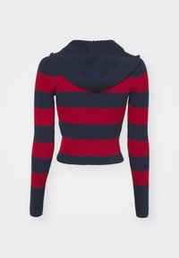 Tommy Jeans ZIP HOOD  - Kapuutsiga pusa - dark night navy/multi