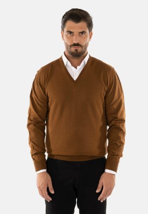 Maglione marrone a scollo a V in morbido tessuto, con maniche lunghe e polsini a costine. Indossato sopra una camicia bianca con colletto, abbinato a pantaloni scuri.