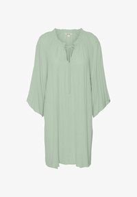 Nepasirinkta, celadon