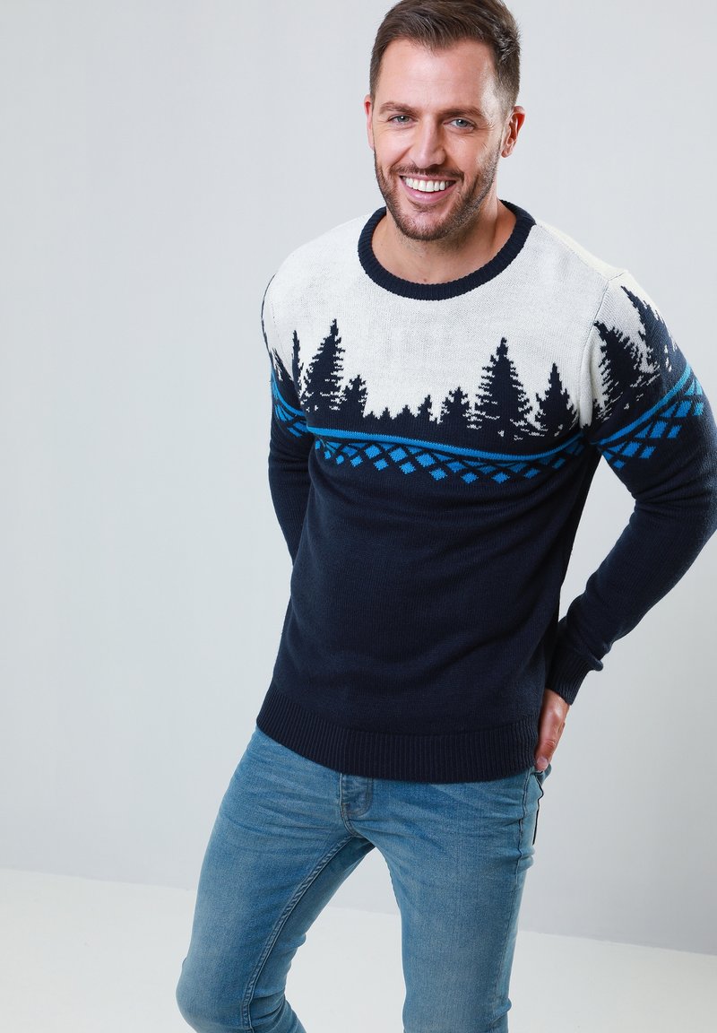 Threadbare XMAS JUMPER KUHMO Stickad tröja navy/mörkblå Zalando.se