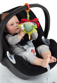 sigikid PLAYQ - Toy for babies - grün