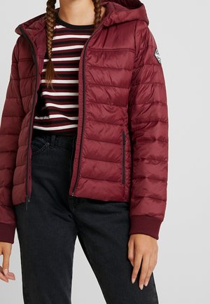 Vrouw met een kastanjebruine gewatteerde jas met capuchon, gedragen over een zwart-wit-rood gestreept shirt en zwarte spijkerbroek, staand tegen een effen achtergrond.