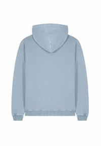 Felpa blu chiaro con cappuccio regolabile, maniche lunghe, polsini e orlo a coste. Tessuto morbido, senza grafiche o motivi visibili.