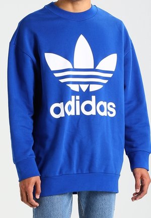 Personne portant un sweat-shirt Adidas bleu avec un grand logo blanc et du texte, associé à un jean bleu clair.