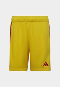 adidas Performance TIRO 23 - Kurze Sporthose - team yellow   team collegiate red