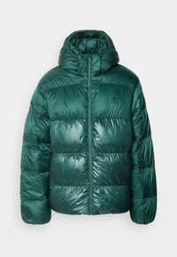 Seleccionado, mineral green