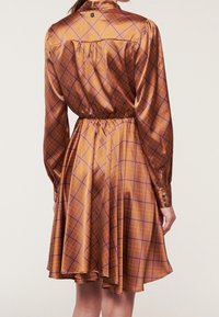 Kvinna i en glänsande brun rutig klänning med långa ärmar, en åtdragen midja och en utsvängd kjol till knäna, sedd bakifrån.