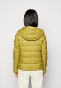 JDY JDYZULU HOOD JACKET - Casaco leve - green moss