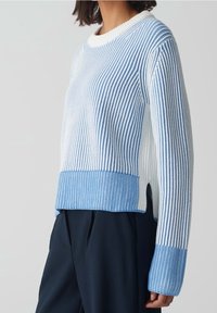 Person som bär en ribbad stickad tröja med blå och vita vertikala ränder samt enfärgade blå muddar och nederkant, i kombination med mörka byxor.