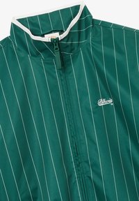 Zielona kurtka z białymi pionowymi prążkami, białym wykończeniem na kołnierzu, przednim zamkiem błyskawicznym oraz małym białym haftowanym logo „Blkvis” na piersi.