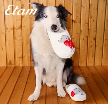 Weißer Hausschuh mit einem Cartoon-Hundedesign, das ein Detail mit rotem Pullover aufweist. Ein schwarz-weißer Hund hält den Hausschuh im Maul, auf einem Holzboden.