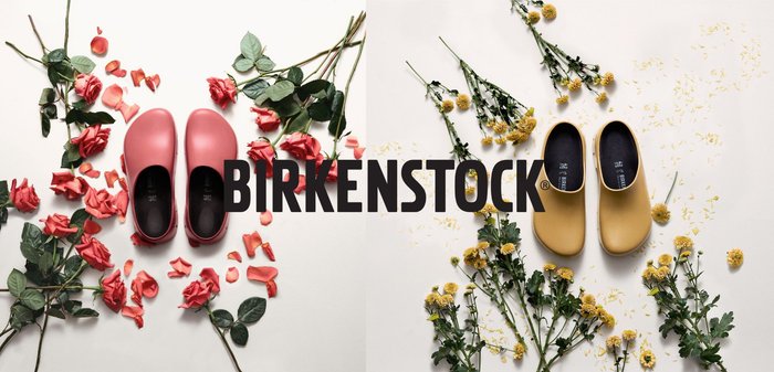 Rosa Birkenstock Clogs mit abgerundeten Zehen und glatter Oberfläche, umgeben von roten Rosen und verstreuten Rosenblättern auf einem weißen Hintergrund.