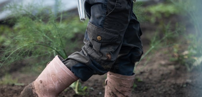 Rosa gummistövlar med smuts, påtagna över mörka byxor med en ficka och en knapp, går på en jordig yta bland växter.