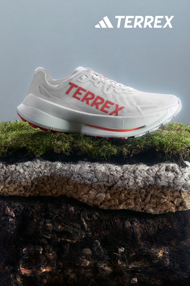 Witte sportschoen met rode "TERREX" branding, rustend op met mos bedekt gras met een getextureerde achtergrond van aarde en steen.