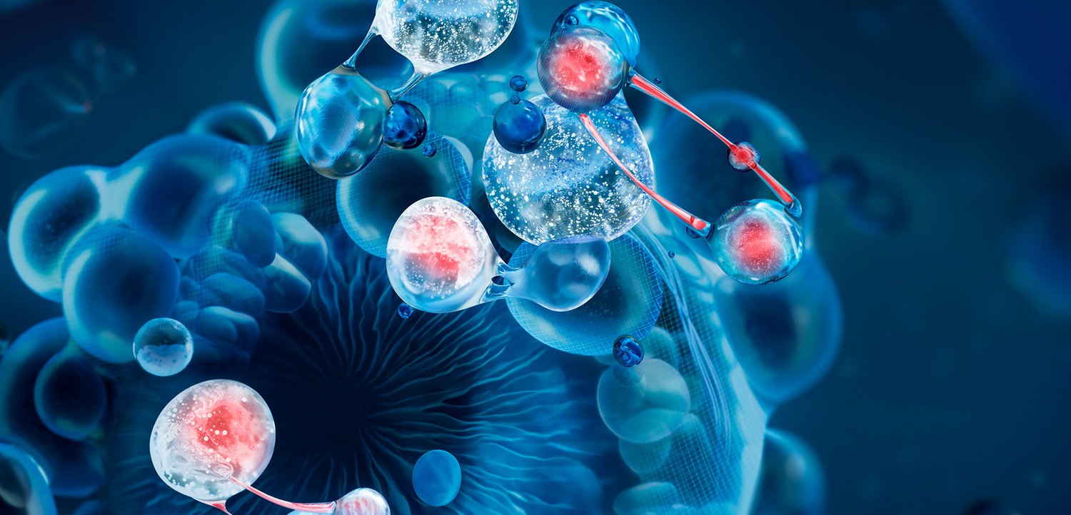 Abstract representation of cells and molecules in blue tones, highlighting spherical shapes with red centers, interconnected by strands.