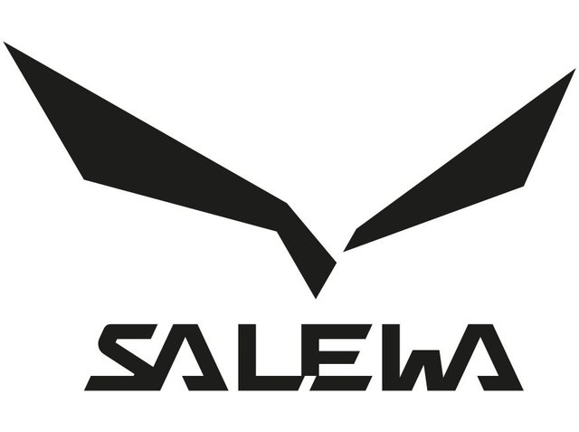 Salewa brand logo with stylised black angular wings above bold, geometric black text spelling “SALEWA” on a white background.