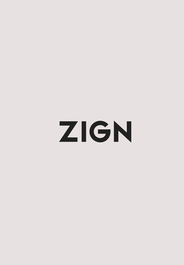 Texto negro que dice "ZIGN" centrado sobre un fondo gris claro y liso.