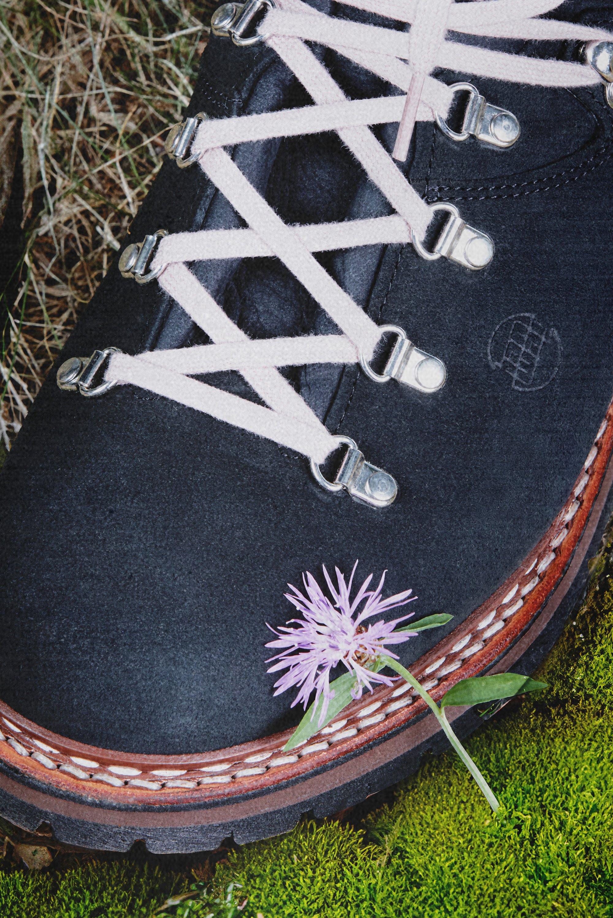Close-up of a black hiking boot with pink laces resting on moss, featuring a purple flower beside the toe. Highlighting outdoor footwear.