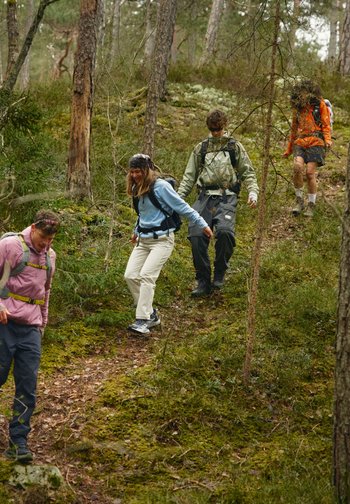 Fire turgåere med ryggsekker som går ned en skogkledd, mosegrodd sti omgitt av høye trær.