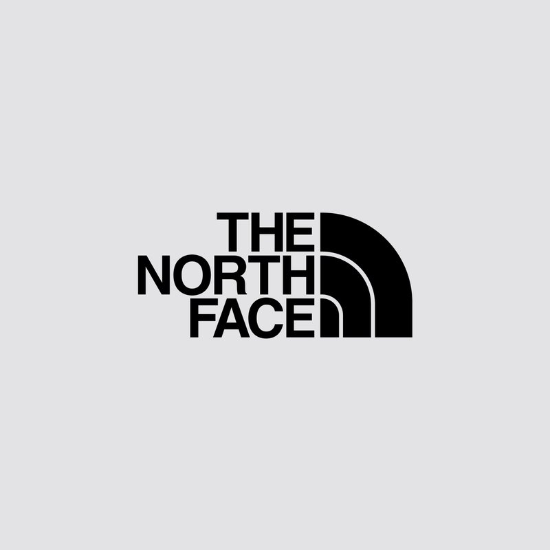Logo nero con la scritta "THE NORTH FACE" sopra un design semicircolare che ricorda una montagna. Su uno sfondo grigio chiaro.